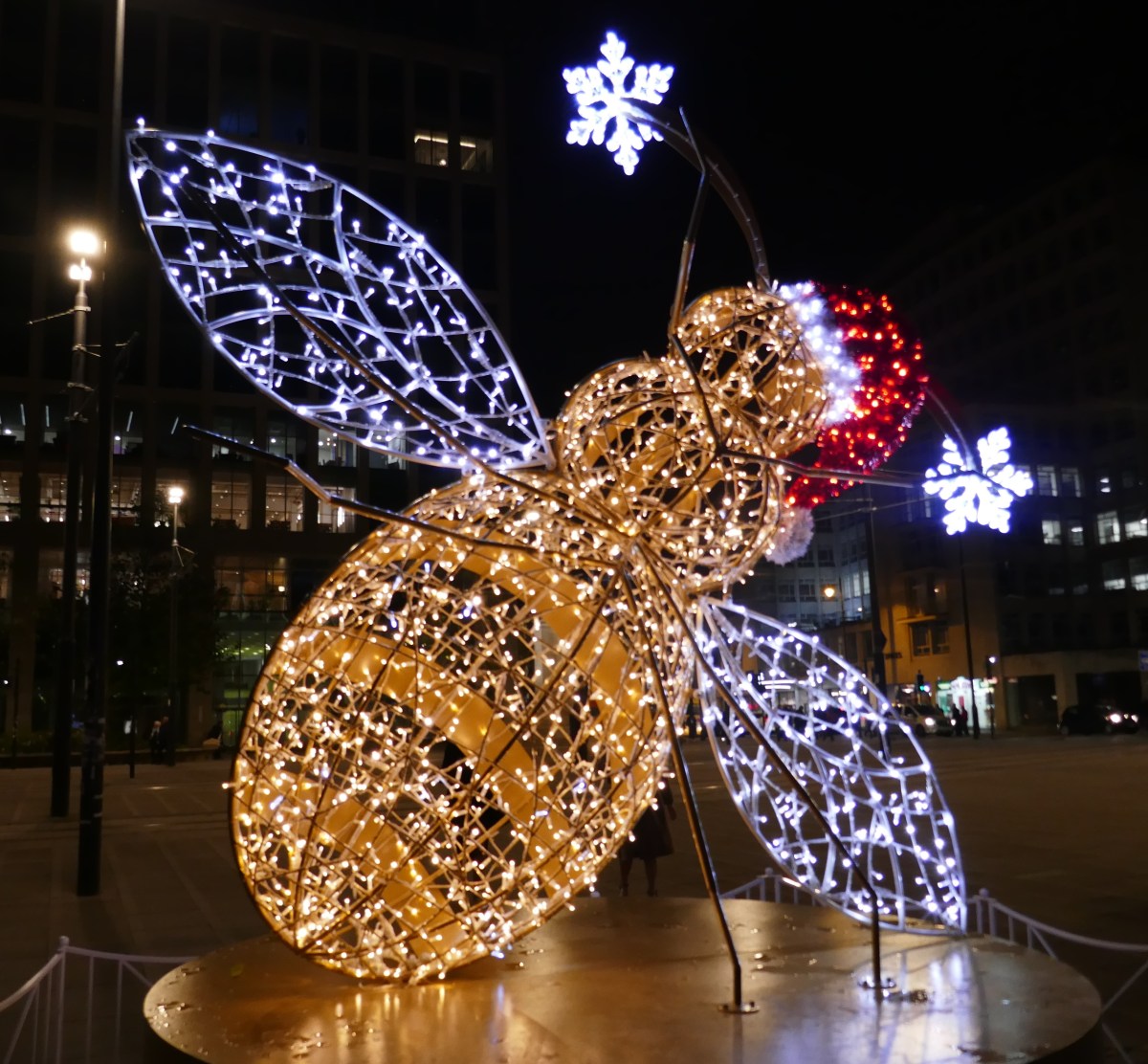 An honorary Salfordian on the Mancunian&nbsp;Way